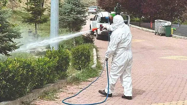 Sungurlu'da Vektörel Mücadele Çalışmaları Hızlandı