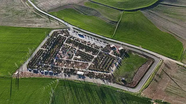 Sunurlu'nun Minik Meclis Üyeleri Fidan Dikti