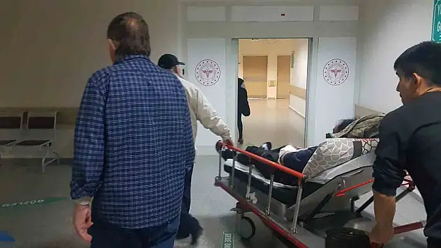 Sürüyü otlatırken ayı saldırısına uğradılar
