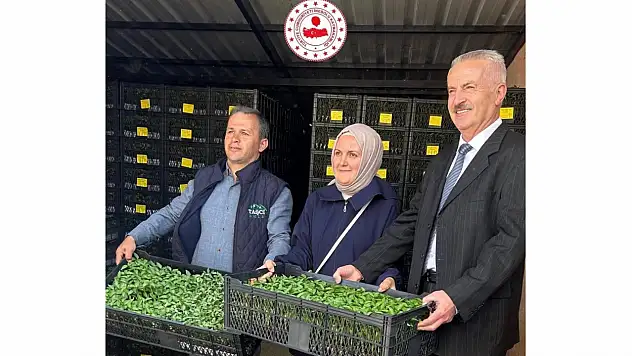TAKE Projesiyle Destek Sağlandı