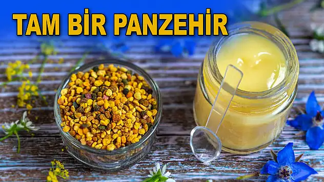 Tam Bir Panzehir