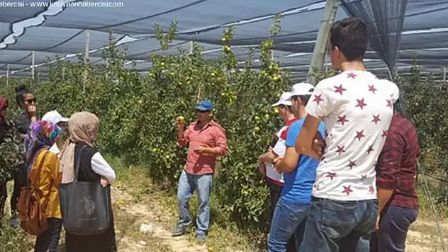 Tarım'a Stajyerlik Başvurusu Başladı