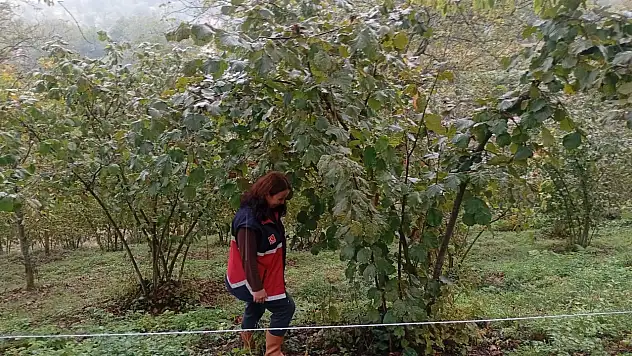 Tarım Arazileri Tek Tek Kontrol Ediliyor