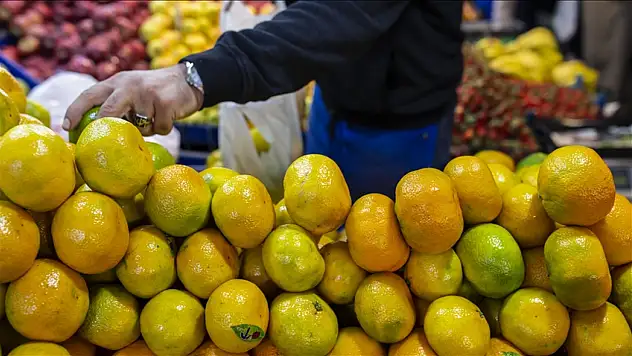 Tarım, Gıda Ve İçecek Sektöründen Rekor İhracat