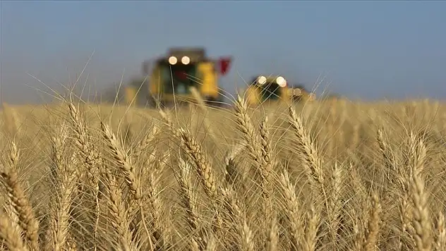Tarım-ÜFE Yüzde 3,85 Arttı