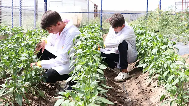 Tarım Ve Gıda Güvenliği Dersinin Müfredatı Hazır