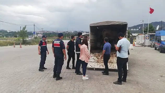 Tarım, yol kontrollerini sıklaştırdı