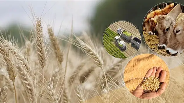 Tarımsal Destekleme Ödemesi Hesaplara Aktarıldı