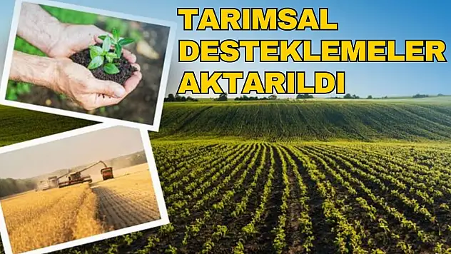Tarımsal Desteklemeler Aktarıldı