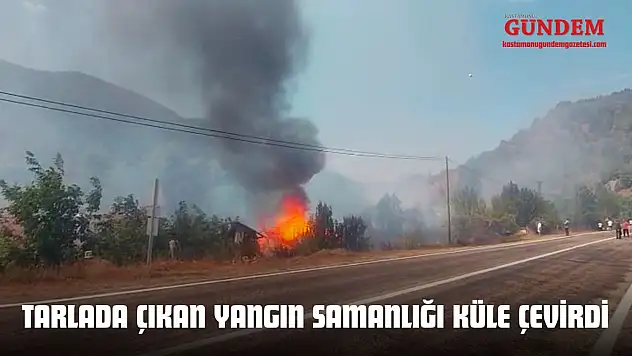 Tarlada Çıkan Yangın Samanlığı Küle Çevirdi
