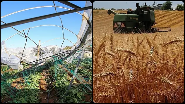 TARSİM'den Üreticilere 27 Milyar Lira Hasar Ödemesi