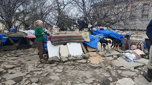 Tartışma Konusu Olan Hayvanlar Bakım Merkezine Alındı