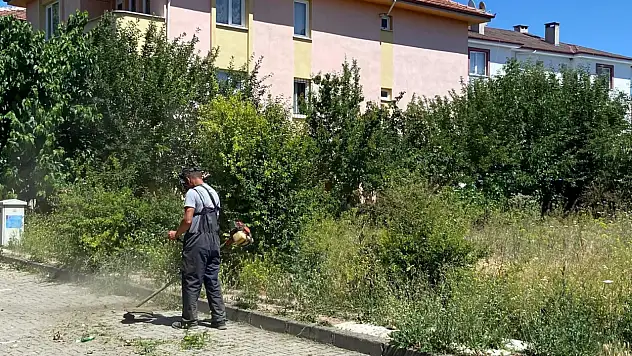 Taşköprü Belediyesi Sahada Çalışıyor