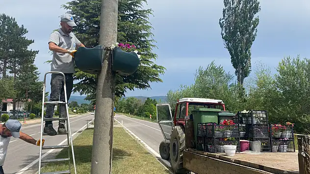 Taşköprü Çiçek Açacak