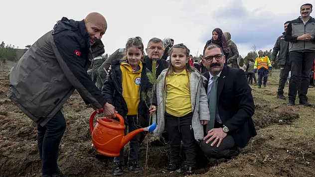 Taşköprü'de Fidan Dikim Etkinliği Düzenlendi