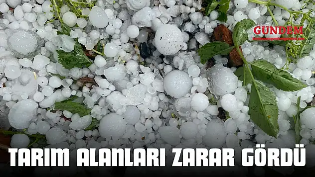 Taşköprü'de Tarım Alanları Zarar Gördü