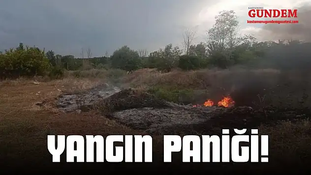 Taşköprü'de Yangın Paniği!