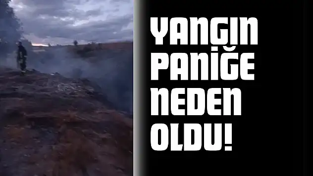 Taşköprü'deki Yangın Paniğe Neden Oldu!