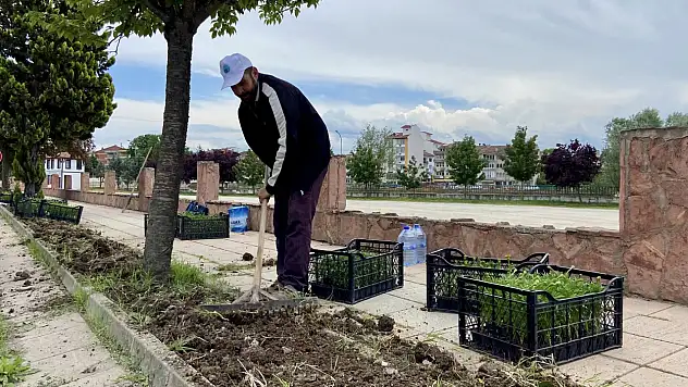 Taşköprü Rengarenk Çiçeklerle Güzelleşiyor