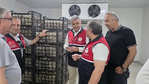 Taşköprü Sarımsağı İçin Önemli Adım: Güvenle Muhafaza Edilecek