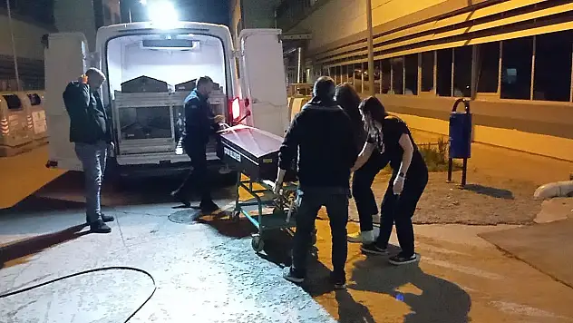 Tatil İçin Çıktıkları Yolda Kaza Yaptılar: 1 Ölü, 1 Yaralı