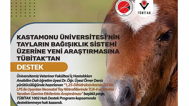 Tayların Bağışıklık Sistemi Araştırılacak