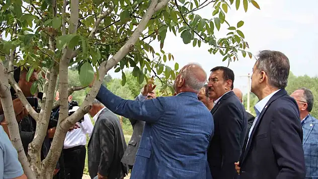 Araştırma Komisyonu, Bolu'da İnceleme Yaptı