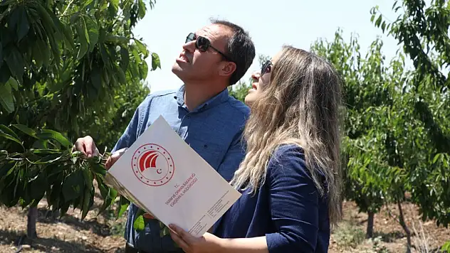 TBMM Zirai Don Olayını Araştırma Komisyonu Taslak Raporunu Tamamladı