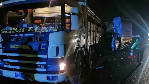 Emniyet Şeridine Park Etti, Kamyon Çarptı: 1 Yaralı