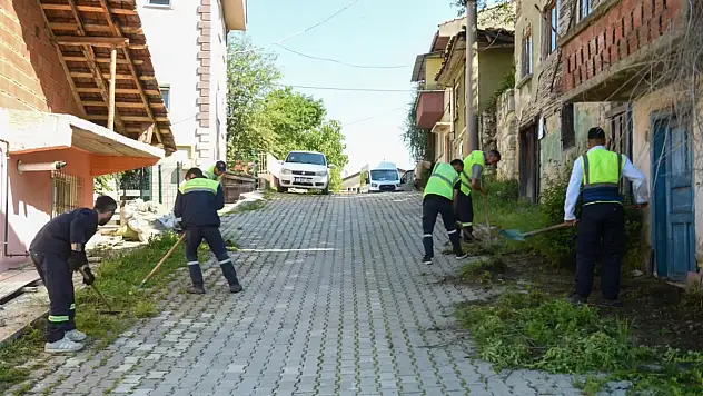 Temizlik Timleri Kastamonu'nun Dört Bir Yanında Görev Başında