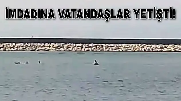 Ters Akıntıyla Canından Oluyordu