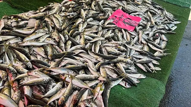 Tezgahlar Balıksız Kalmadı