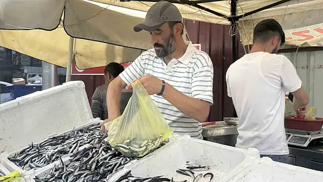 Tezgahlarda Hamsi Bolluğu