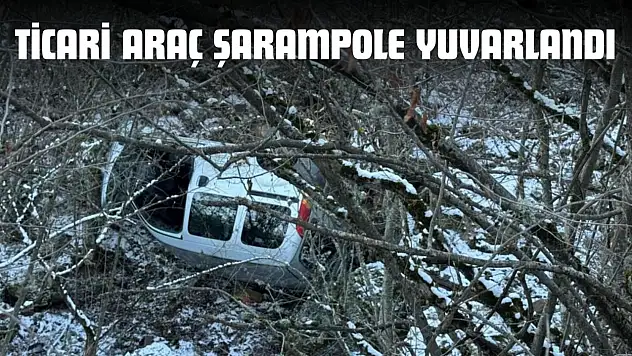 Ticari Araç Şarampole Yuvarlandı