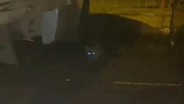 Tilkiler Mahalleyi Mesken Tuttu