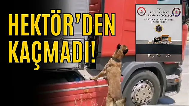 TIR'a Saklanan Uyuşturucu Hektör'den Kaçmadı!