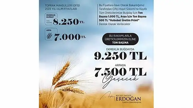 TMO 17 Temmuz'da alıma başlayacak