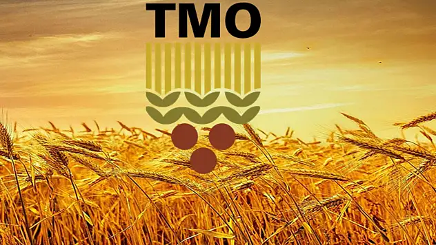 TMO: 'Hububat alımlarımız yoğun şekilde devam ediyor'