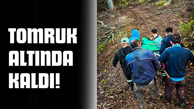 Tomruk Altında Kaldı, Ekipler 700 Metre Yol Katetti!