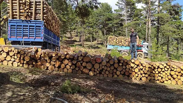 Tomruk yüklü kamyon devrildi: 1 ölü