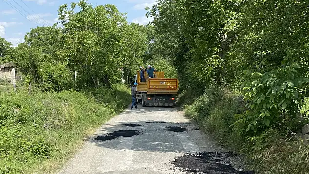 Tosya Belediyesi Bağ Yollarını Onarıyor