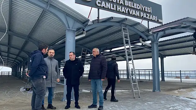 Tosya'da Canlı Hayvan Pazarı Yeniden Hizmete Açılıyor