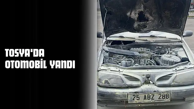 Tosya'da Otomobil Yandı