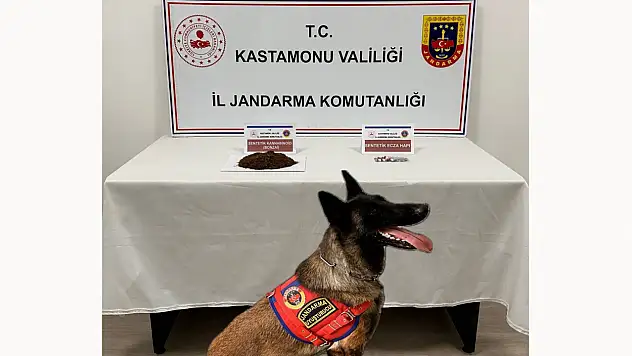 Tosya'da Uyuşturucu Ele Geçirildi