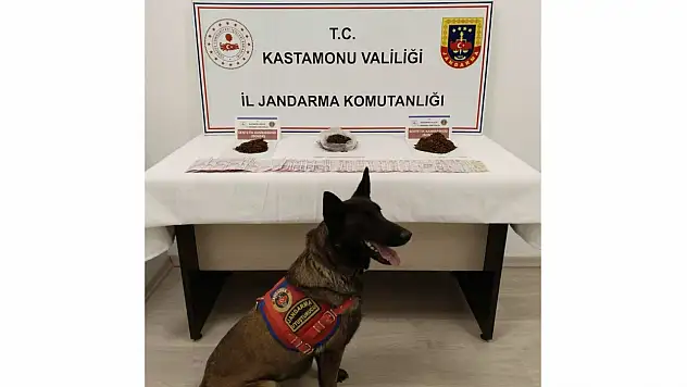 Tosya'da Uyuşturucu Operasyonu: 1 Tutuklama
