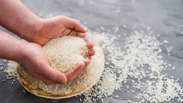 Tosya'nın Coğrafi İşaretli Pirinci Rekor Fiyatlara Ulaştı