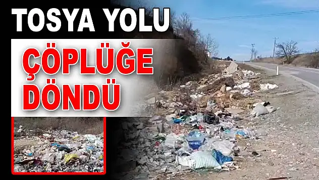 Tosya Yolu Çöplüğe Döndü