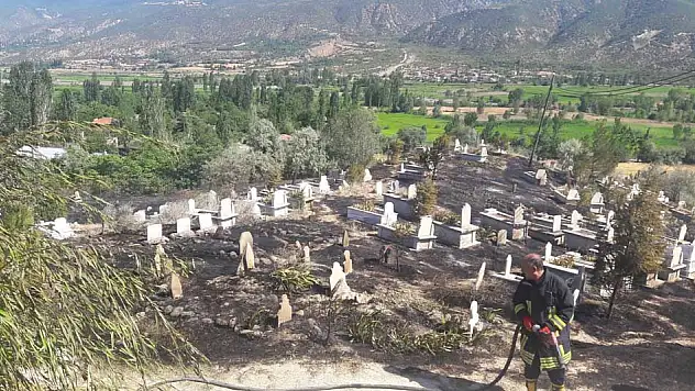 Tosya'da çıkan yangın mezarlara zarar verdi