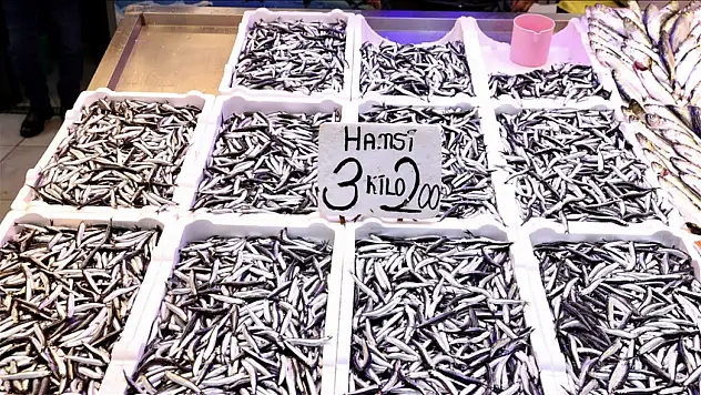 Trabzon'da Hamsinin Kilogramı 75 Lira