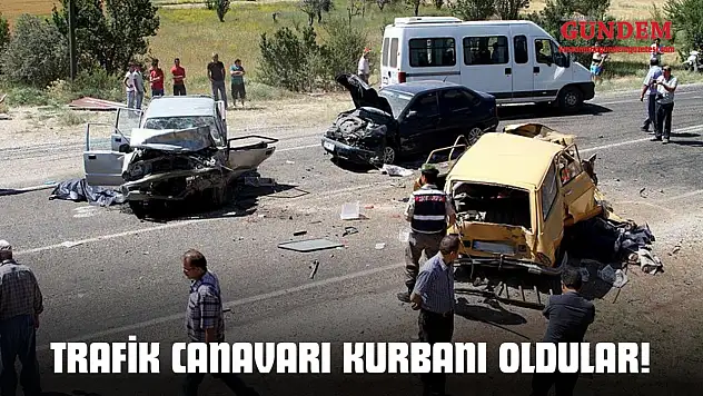 Trafik Canavarı Kurbanı Oldular!